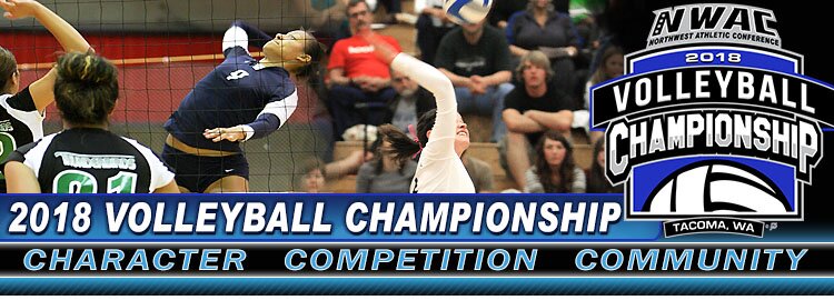 2018 Volleyball Championship Banner
